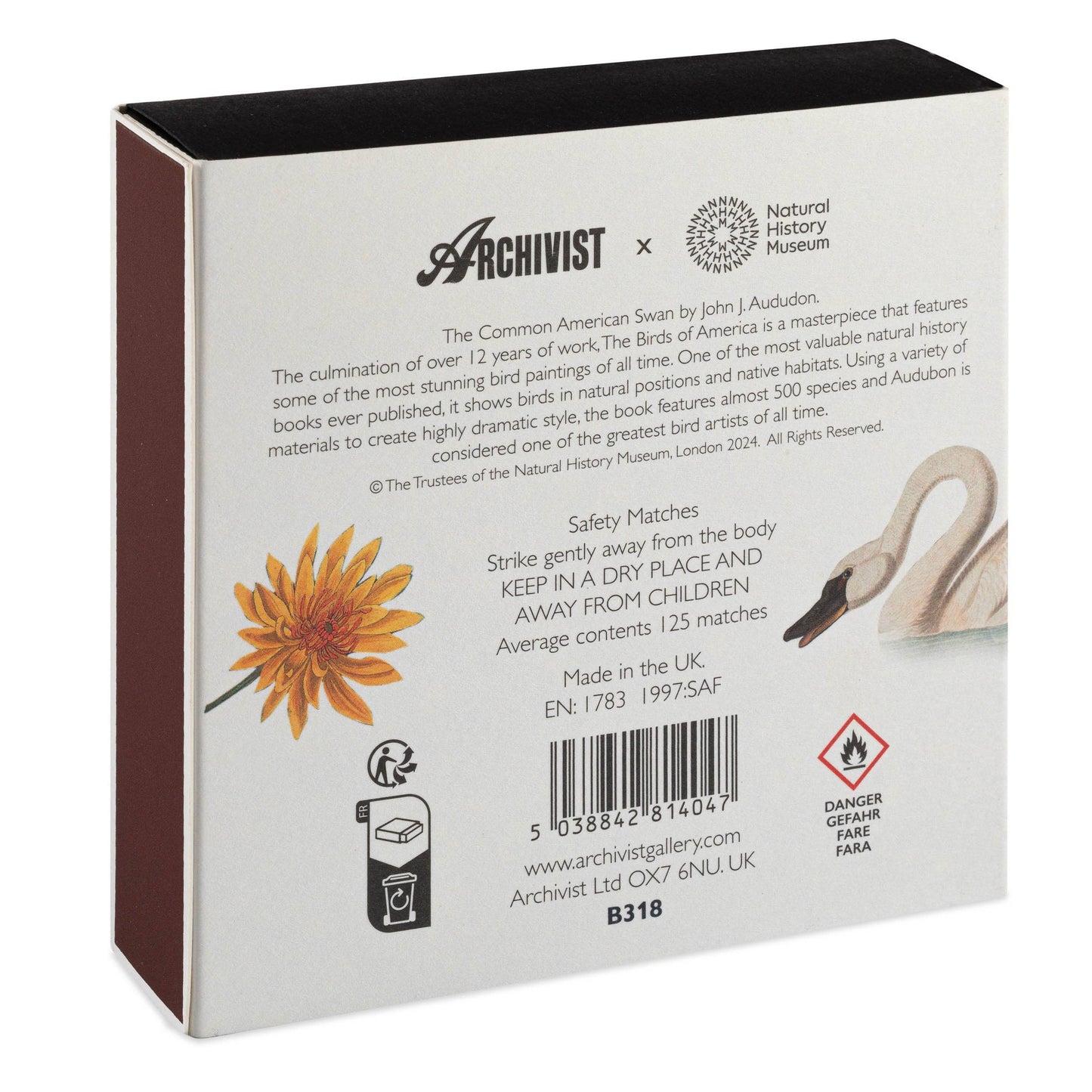 Rückseite der Quadratischen Streichhölzer 'Der Gemeine Amerikanische Schwan' von Archivist Gallery: Archivist- und NHM-Branding, Produkt- und Sicherheitsinformationen, Blumenillustration links, Schwan rechts - stilvolle Streichhölzer zum Verschenken oder Dekorieren.