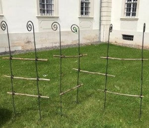 Vier Bischofstab mit Knoten | mit Holz im SET 5-tlg. Gartenspaliere von Hirsch, bestehend aus 150 cm langen Holzpfählen und 170 cm langen Metallstäben mit Knoten, stehen auf grünem Gras vor einem weißen Gebäude mit Fenstern.