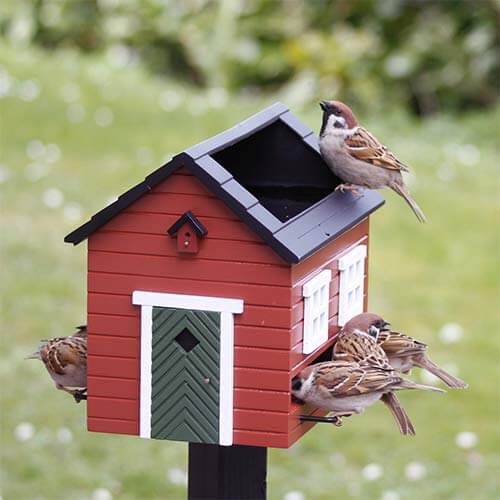 Vier Spatzen sitzen und fressen am roten „Nistkasten & Futterhaus mit Bad“ in stilvollem Design von Wildlife Garden, das die Form eines Hauses mit einer grünen Tür und weißen Fenstern aufweist und vor einem verschwommenen grünen Außenhintergrund steht.