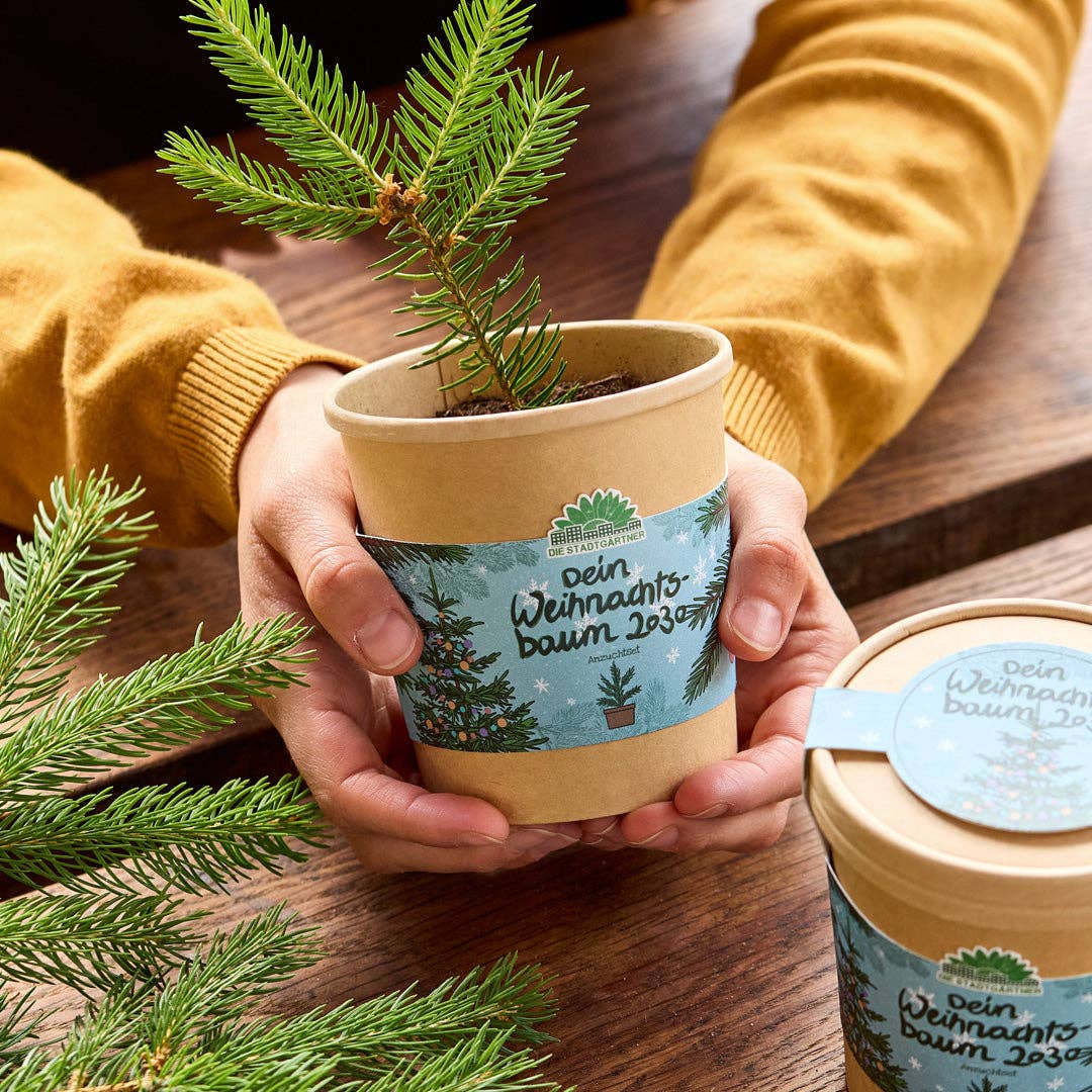 Eine Person hält auf einem Holztisch einen kleinen Kiefernsetzling im Topf mit einem festlichen Etikett mit der Aufschrift „Dein Weihnachtsbaum 2023“ in der Hand, daneben stehen ein weiterer ähnlicher Topf und Kiefernzweige – das perfekte Anzuchtset | 2030 Weihnachtsbaum aus dem Becher von Stadtgärtner und eine wunderbare Geschenkidee zu Weihnachten.
