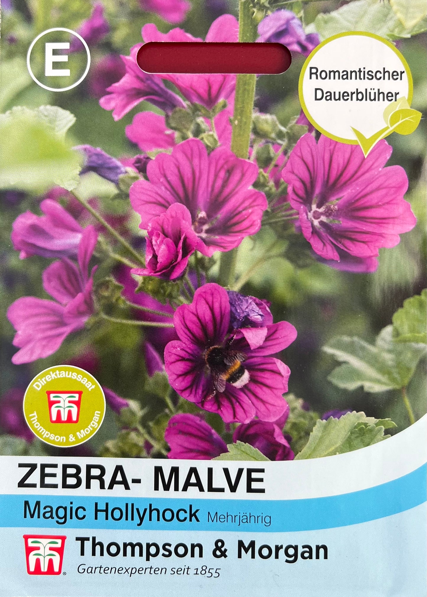 Eine Saatgutpackung der Thompson & Morgan | Zebramalve Magic Hollyhock zeigt violette Blüten und grüne Blätter. Das Logo von Thompson und Morgan und der deutsche Text betonen die mehrjährigen, romantischen Blütequalitäten der Pflanze.
