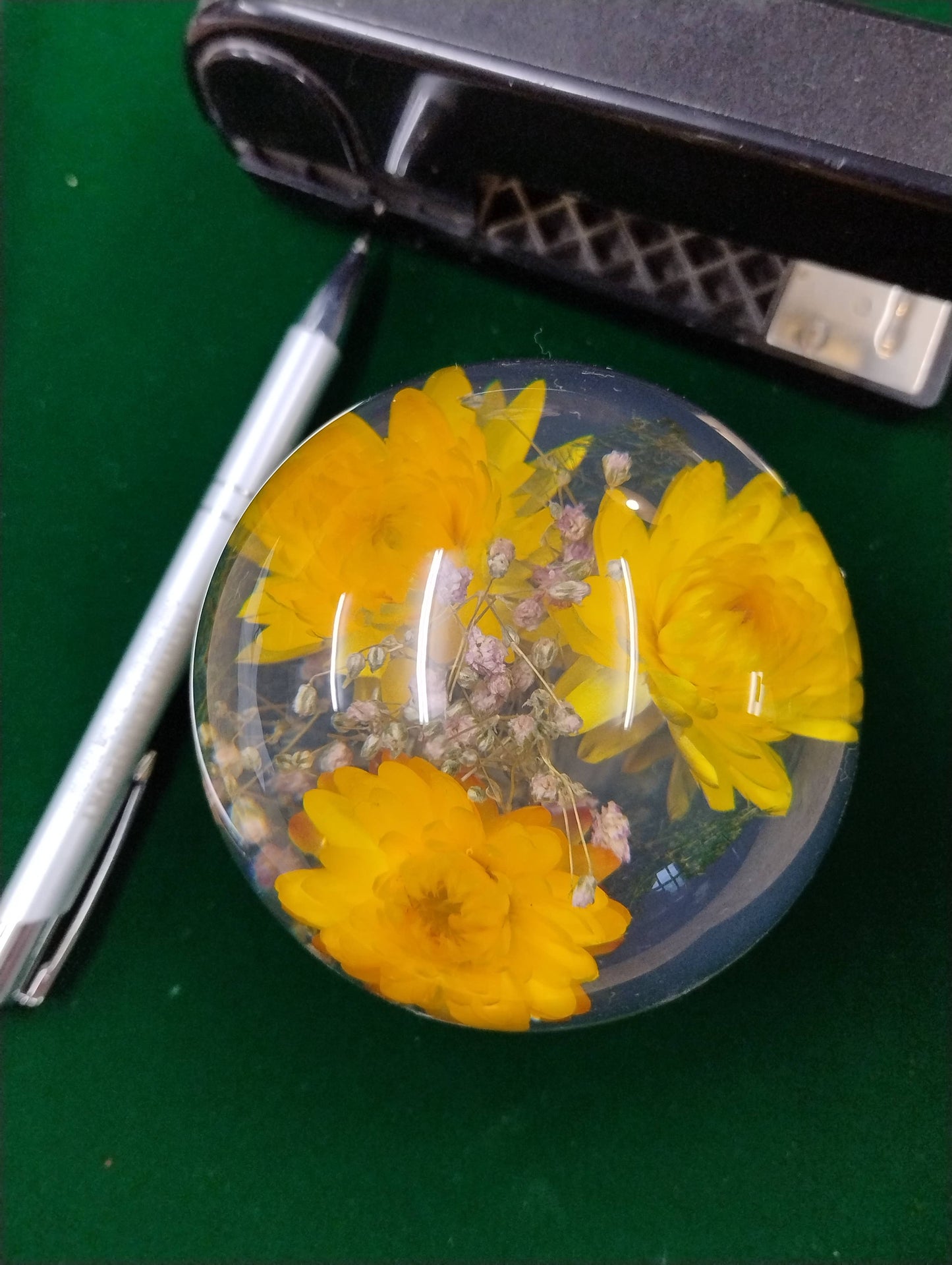 Der Hafod Grange | Briefbeschwerer mit Gelber Helichrysum von Hafod Grange zeigt gelbe Helichrysum-Blüten und kleine violette Akzente im Inneren-ein schönes Geschenk für Blumenliebhaber.