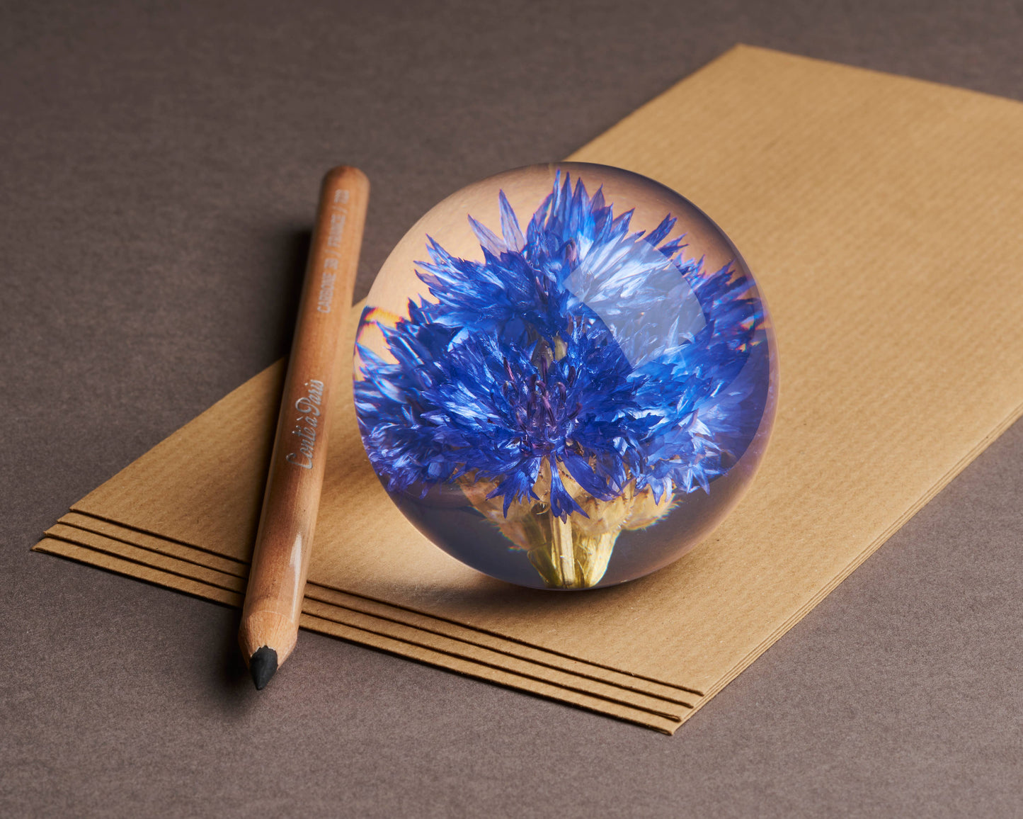 Der Hafod Grange | Briefbeschwerer mit Kornblume von Hafod Grange mit blauer Blüte liegt auf einem braunen Umschlag neben einem Holzbleistift-ein stilvolles Schreibtisch-Accessoire und ideales Geschenk für Gartenliebhaber.