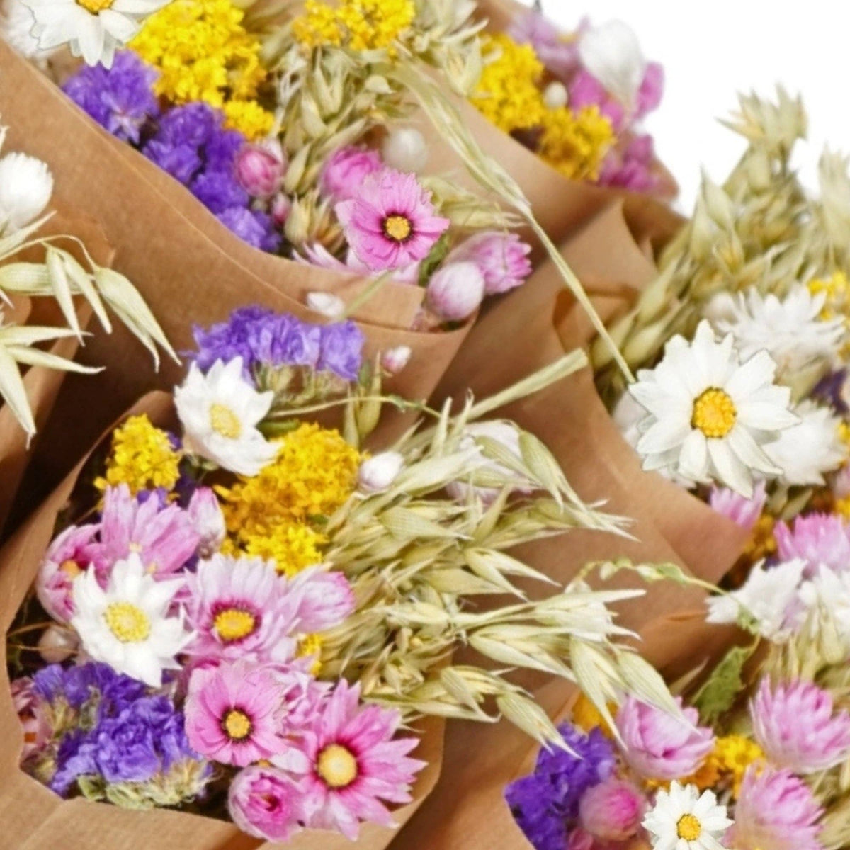 Die Sträuße aus langlebigen Trockenblumen von Wildflowers by Floriette aus der „Dutch“-Kollektion (ca. 50 cm) sind kunstvoll in braunes Papier eingewickelt und bestechen durch eine bezaubernde Mischung aus rosa, violetten, gelben und weißen Blüten mit getrockneten Gräsern. Jeder Trockenblumenstrauß ist dicht aneinander auf einem weißen Hintergrund arrangiert und bildet so einen zeitlosen „Market More“-Strauß, der jedem Raum einen einzigartigen Charme verleiht.