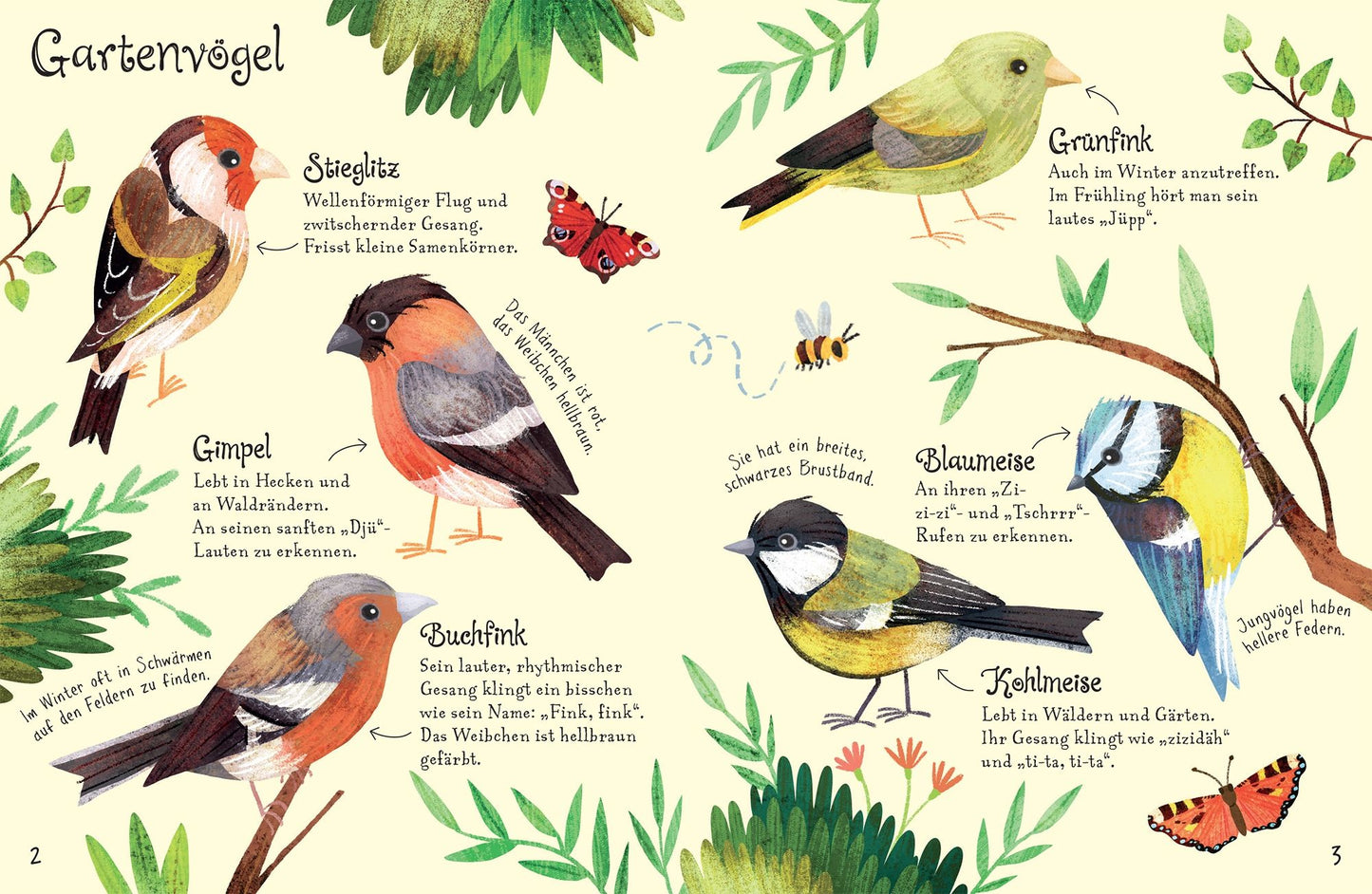 Eine Seite aus Usborne Minis | Naturführer Vögel mit 60 Stickern (dtv Verlag) zeigt Stieglitz, Grünfink, Buchfink, Gimpel, Blaumeise und Kohlmeise mit deutschen Beschreibungen inmitten von Pflanzen, Schmetterlingen und einer Biene.