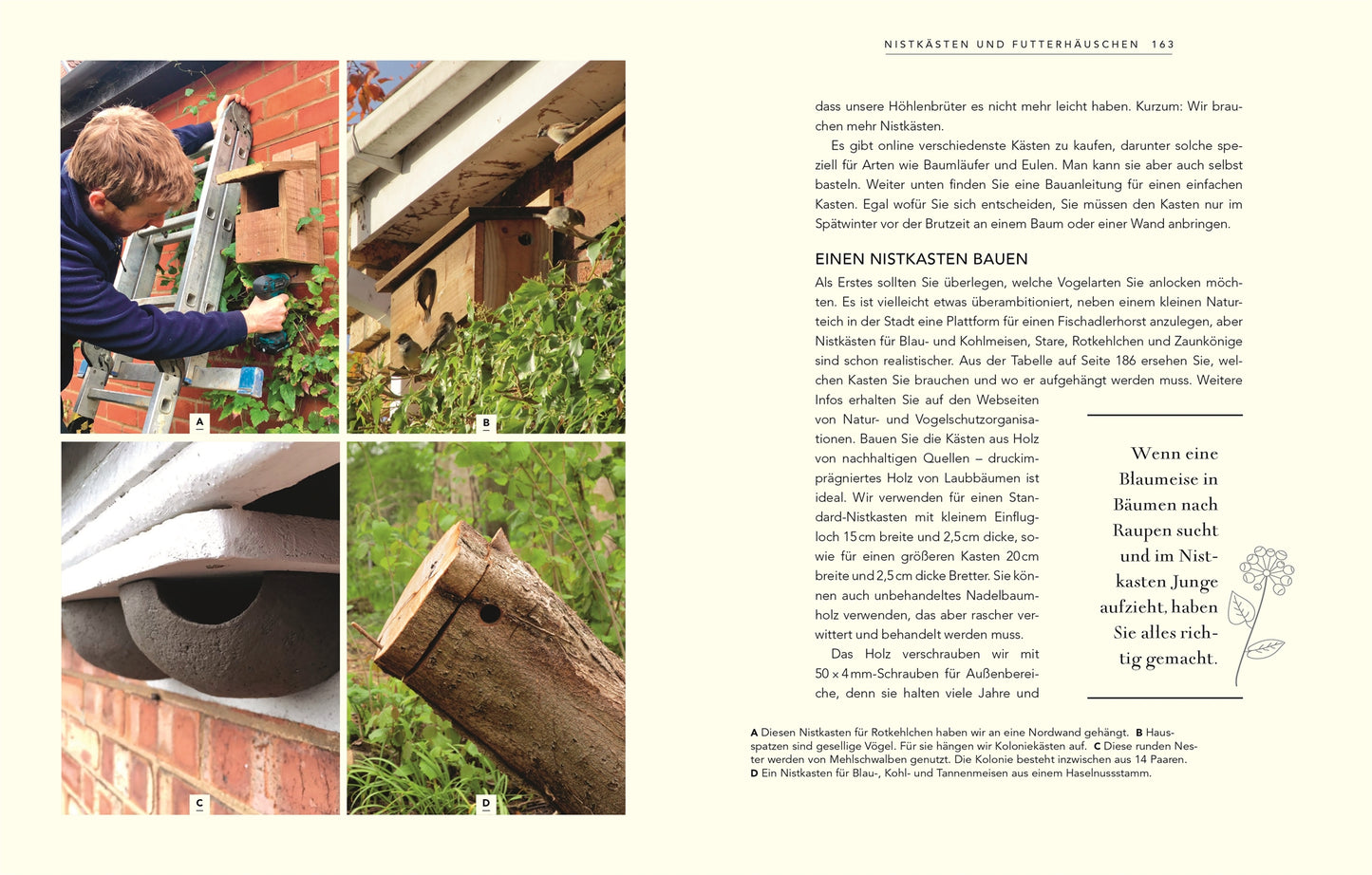 Eine Fotocollage zeigt verschiedene Nistkästen in natürlicher Umgebung und illustriert "Wildnis im Garten | Natürlich schön statt künstlich angelegt!" aus dem DK Verlag. Der deutsche Text ist rechts abgebildet.
