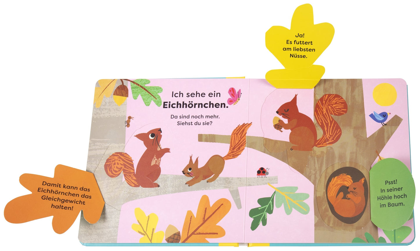 In "Da! Ein Fuchs" von DK Verlag entdecken Kinder ab 18 Monaten die Natur: Leuchtende Blätter-Tabs, deutsche Texte und charmante Illustrationen machen dieses Pappbuch zum interaktiven Spaß für kleine Entdecker.