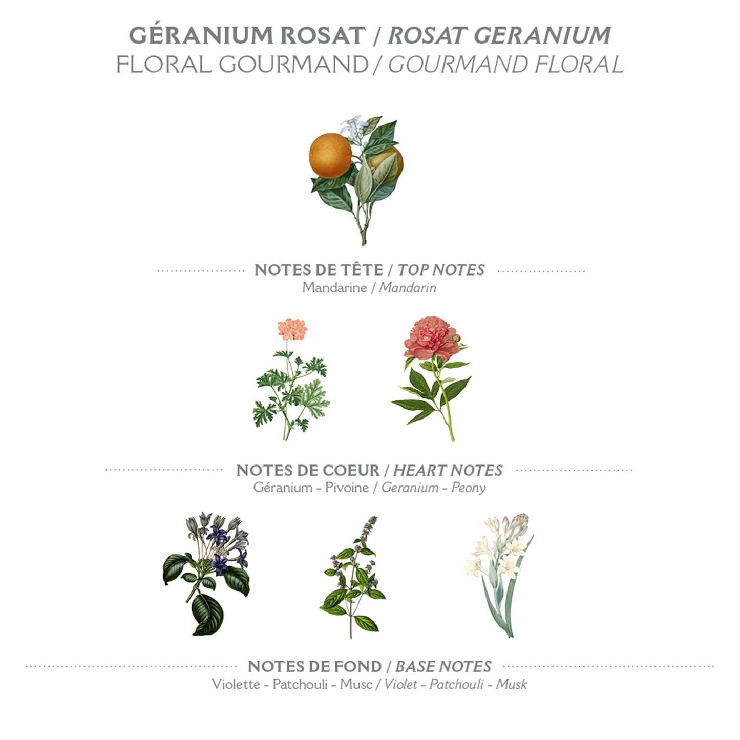 Diagramm mit den Duftnoten von Panier Des Sens | Duftseife Rosengeranie 150 g: Mandarine (Kopfnote), Geranie und Pfingstrose (Herznote), Veilchen, Patchouli-Blätter und weiße Moschusblüten (Basisnote). Der Text erscheint in Französisch und Englisch.