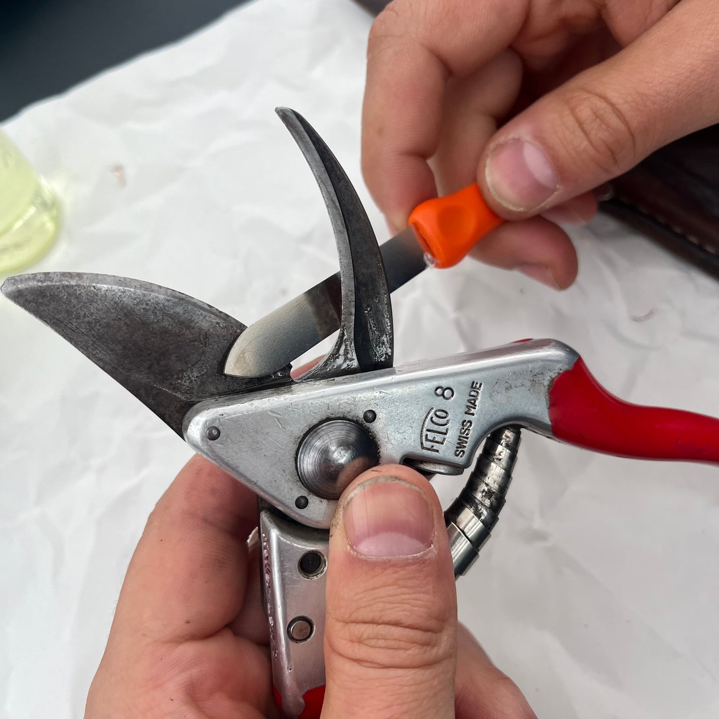 Eine Person schärft eine Gartenschere mit rotem Griff mit einem kleinen orangefarbenen Werkzeug über einer weißen Oberfläche und bereitet sie so auf die Klingenreinigung und den optimalen Rostschutz mit Niwaki – Kamelien Öl von Niwaki vor.