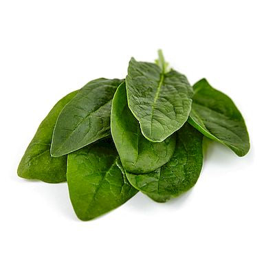 Ein kleiner Stapel tiefgrüner, glatter Blätter von Arche Noah | Spinat 'Pfarrgarten' ist auf einem weißen Hintergrund angeordnet, um ihre Frische zu betonen.