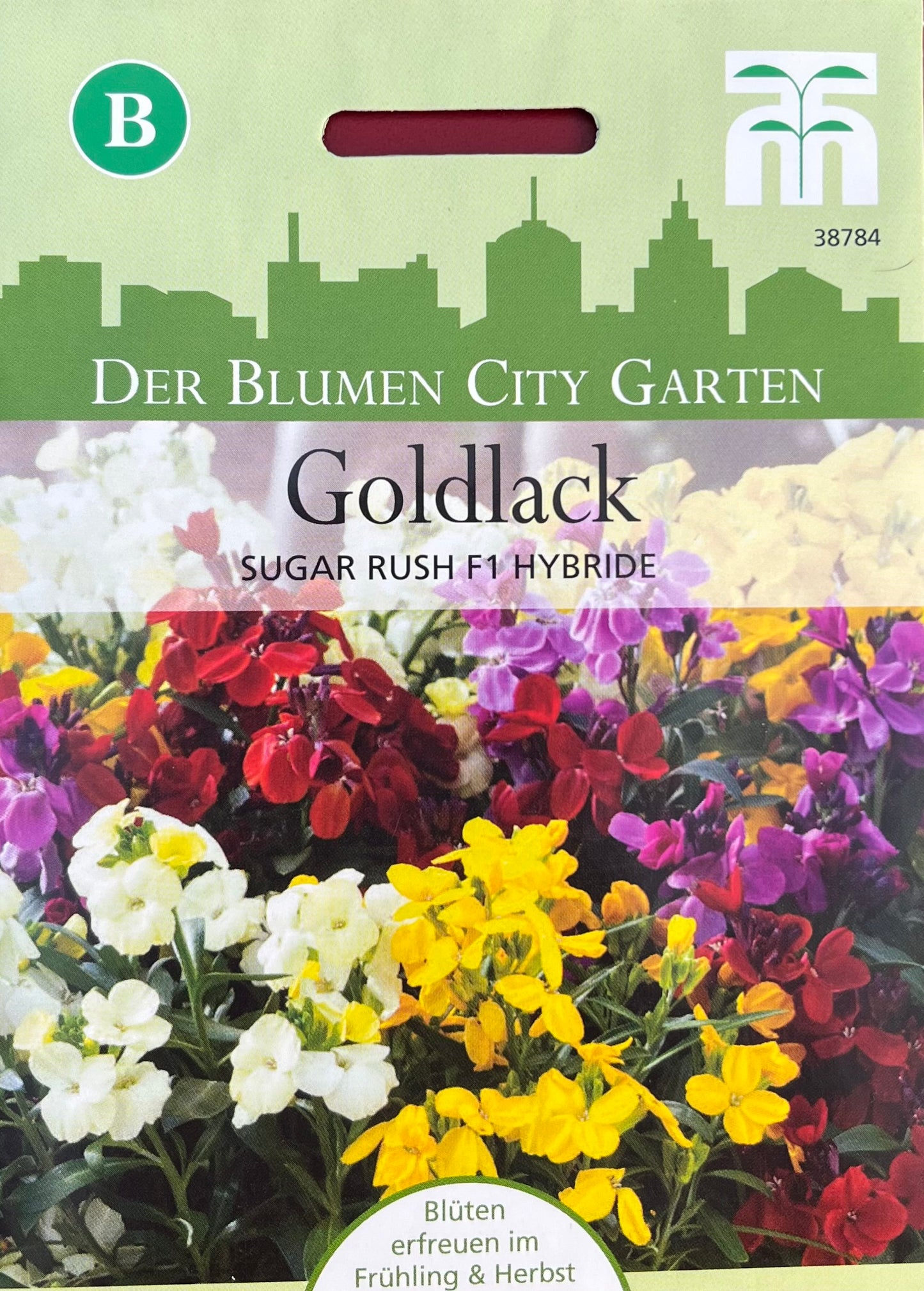 Ein Samenpaket für Goldlack „Sugar Rush“ F1 Hybride von Thompson und Morgan, das leuchtende Goldlacke in Weiß, Gelb, Rot, Orange und Lila mit grünen und stadtbezogenen Grafiken zeigt.