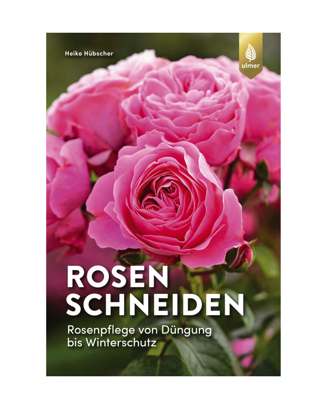 handschuhe rosen schneiden Rosen schneiden