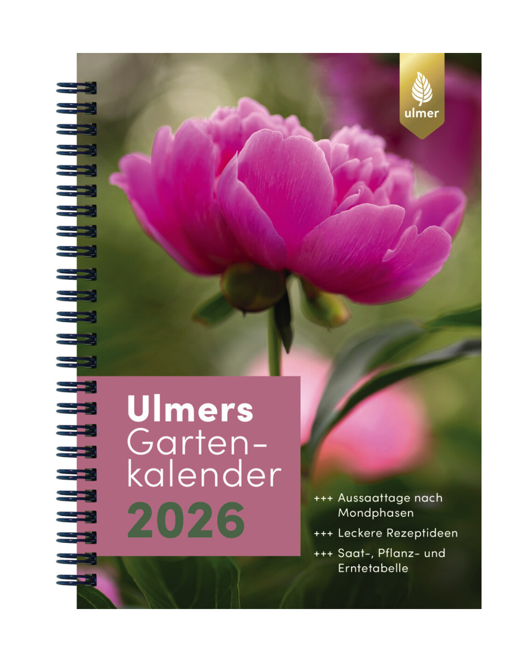 Der spiralgebundene Ulmers Gartenkalender 2026 aus dem Ulmer Verlag zeigt auf dem Cover eine blühende rosa Pfingstrose, im Hintergrund grünes Laub und gibt praktische Tipps für den Obst- und Gemüseanbau.
