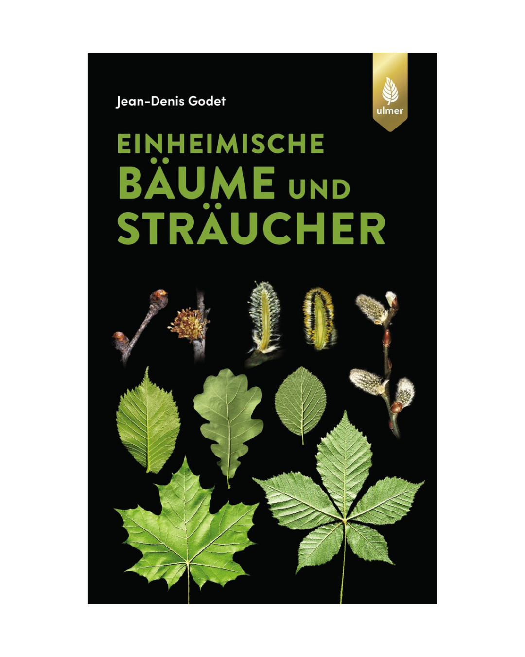 Buchumschlag für "Einheimische Bäume und Sträucher | Ein praktischer Naturführer" vom Ulmer Verlag, mit illustrierten Blättern und Knospen auf schwarzem Hintergrund mit grünem und gelbem Text - ideal für Baumartenbestimmung und als Naturführer Bäume.