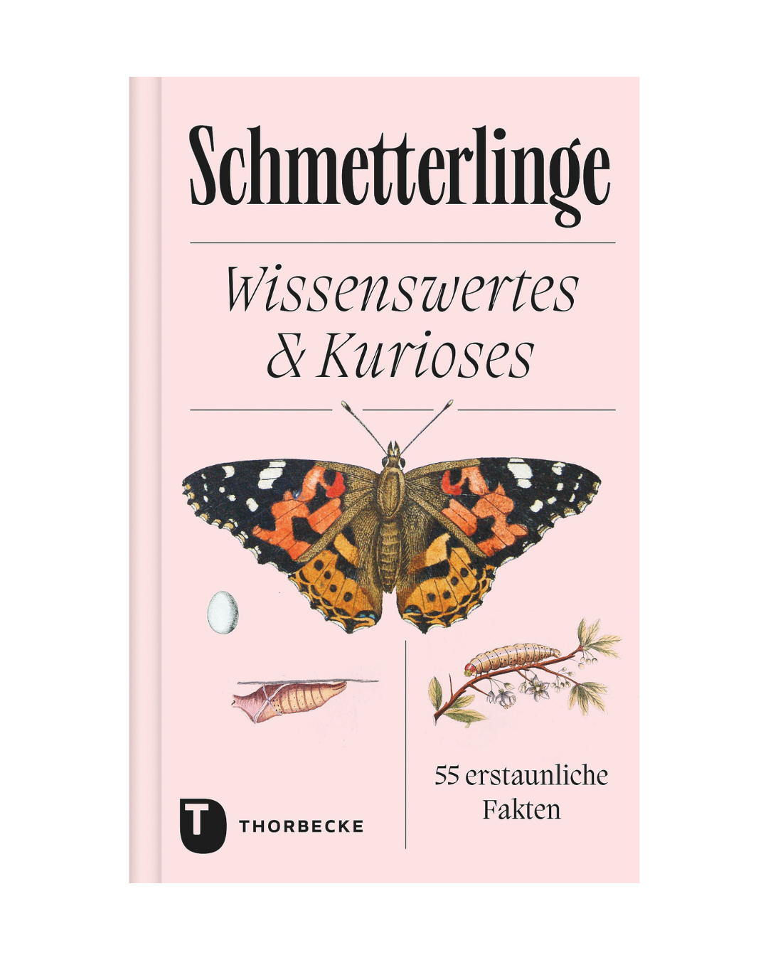 Ein rosa Schmetterlinge | Wissenswertes & Kurioses Buch aus dem Thorbecke Verlag mit Schmetterlings-, Raupen-, Puppen- und Eierillustrationen. Untertitel: 55 erstaunliche Fakten-perfekt für Rilke Rosengedichte-Fans.