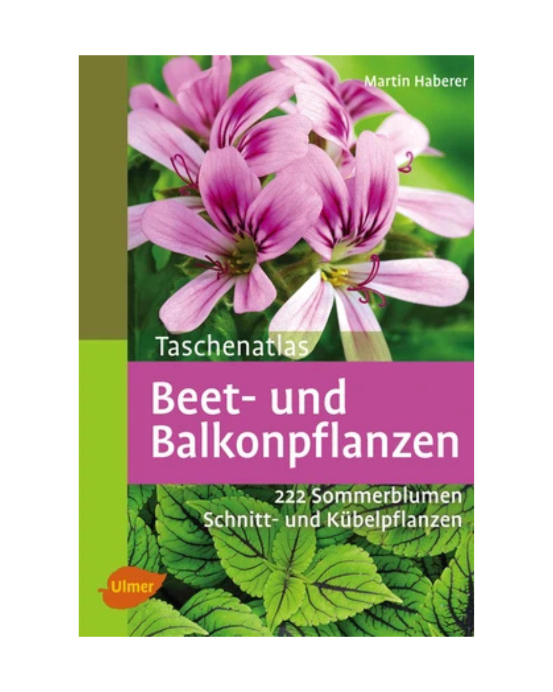 Buchdeckel des Taschenatlas | Beet- und Balkonpflanzen des Ulmer Verlags, mit rosa Sommerblumen und grünen Blättern. Untertitel: 222 Sommerblumen, Schnittpflanzen und Kübelpflanzen. Mit leuchtend grünen und magentafarbenen Akzenten.