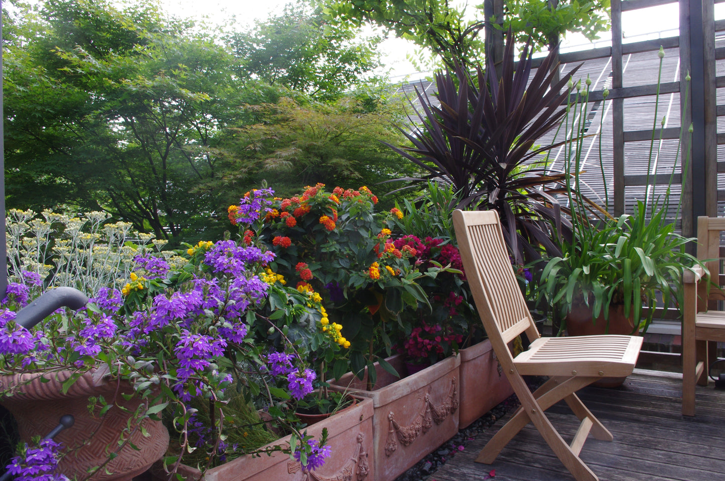 Genießen Sie den halbtägigen Kurs "Gärtnern auf Balkonen und Dachterrassen (Englisch)" der Königlichen Gartenakademie - perfekt, um zu lernen, wie man üppige, farbenfrohe Kübelgärten auf Terrassen oder Balkonen anlegt. Sa.. 18.04.2026 | 10:00-13:00.