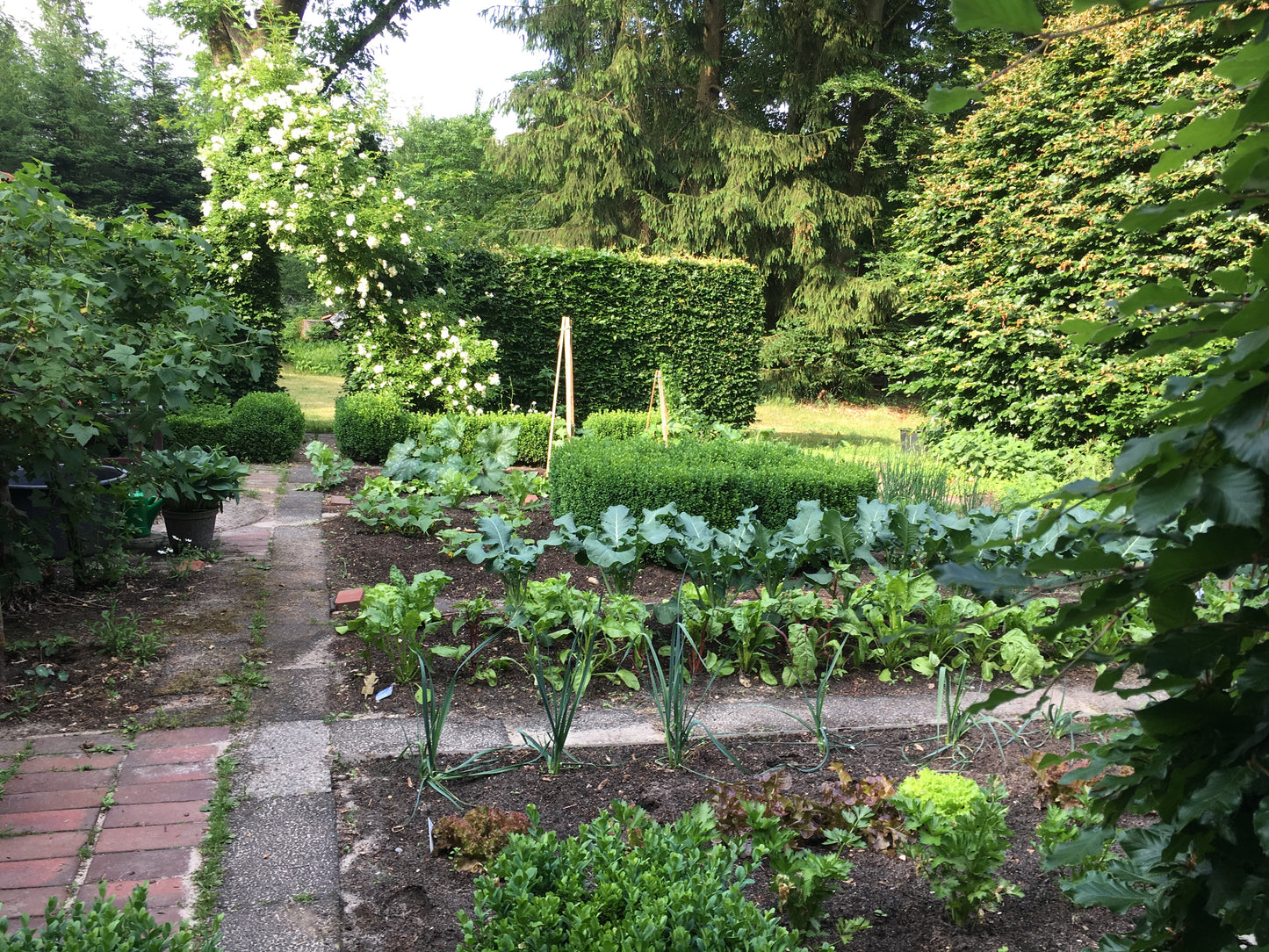 Erleben Sie "Der Garten als Lebensraum NEU" in der Königlichen Gartenakademie am Mi. 18.02.2026, 09:30-12:30 Uhr - ein halbtägiger Kurs zur üppigen Gartengestaltung mit Blattgrün, Wegen und Blumenbögen im Einklang mit der Natur.