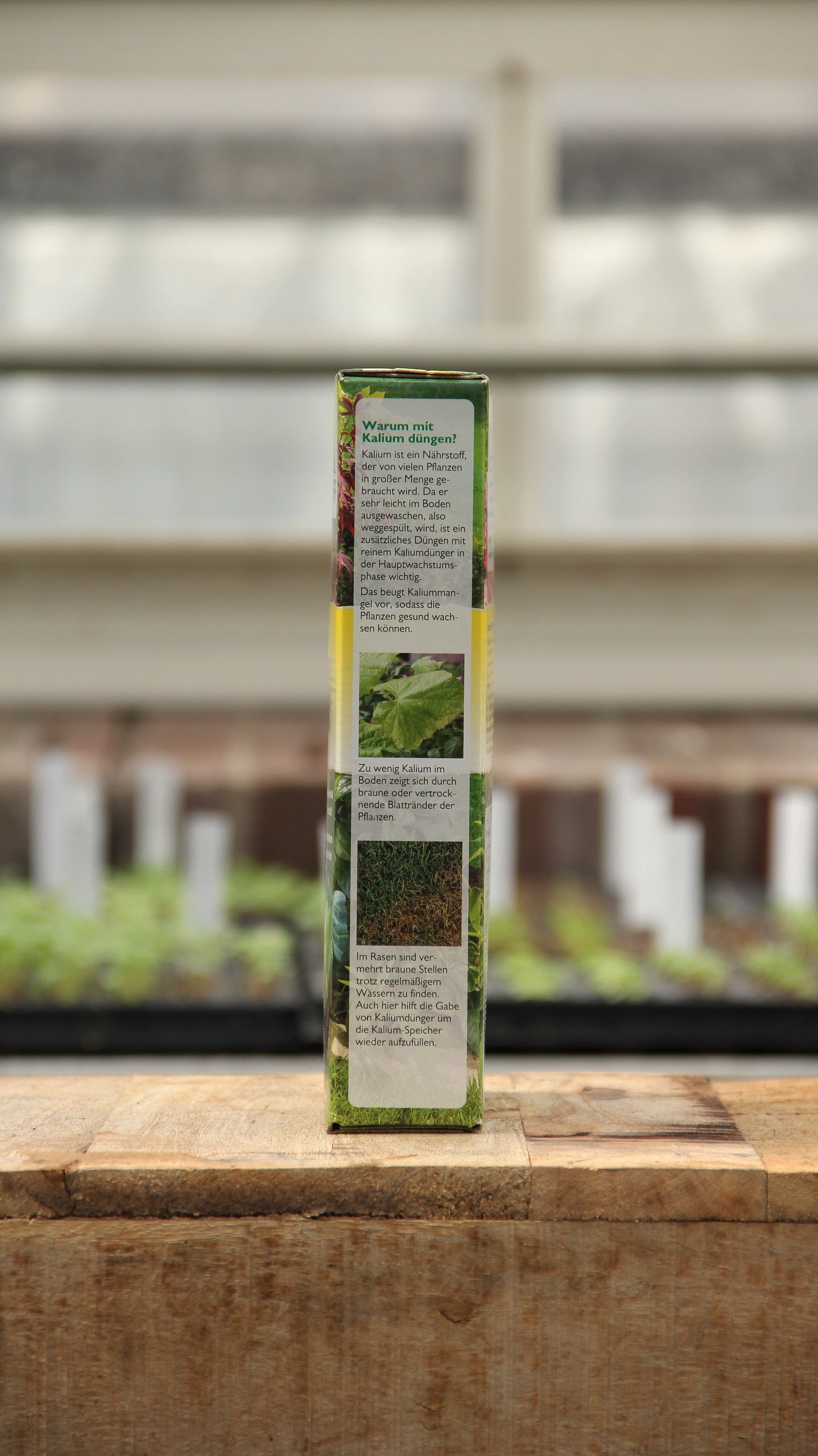 Eine rechteckige Schachtel mit der Aufschrift "Neudorff | Azet Kalium Dünger 2 kg" steht auf einer hölzernen Unterlage mit deutschem Text und Bildern, im Hintergrund sind unscharfe Setzlinge und Gewächshausregale zu sehen.
