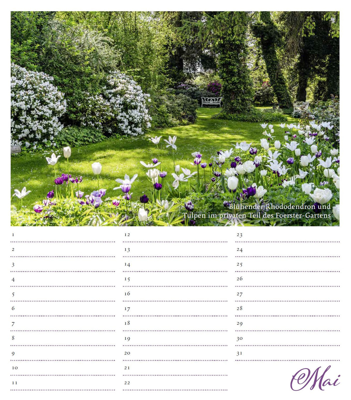 Ein üppig blühender Garten mit Rhododendren und Tulpen, eine weiße Bank im Schatten hoher Bäume. Der Geburtstagskalender Karl Foerster von Monumente Publikationen bezeichnet den Monat Mai am unteren Rand.