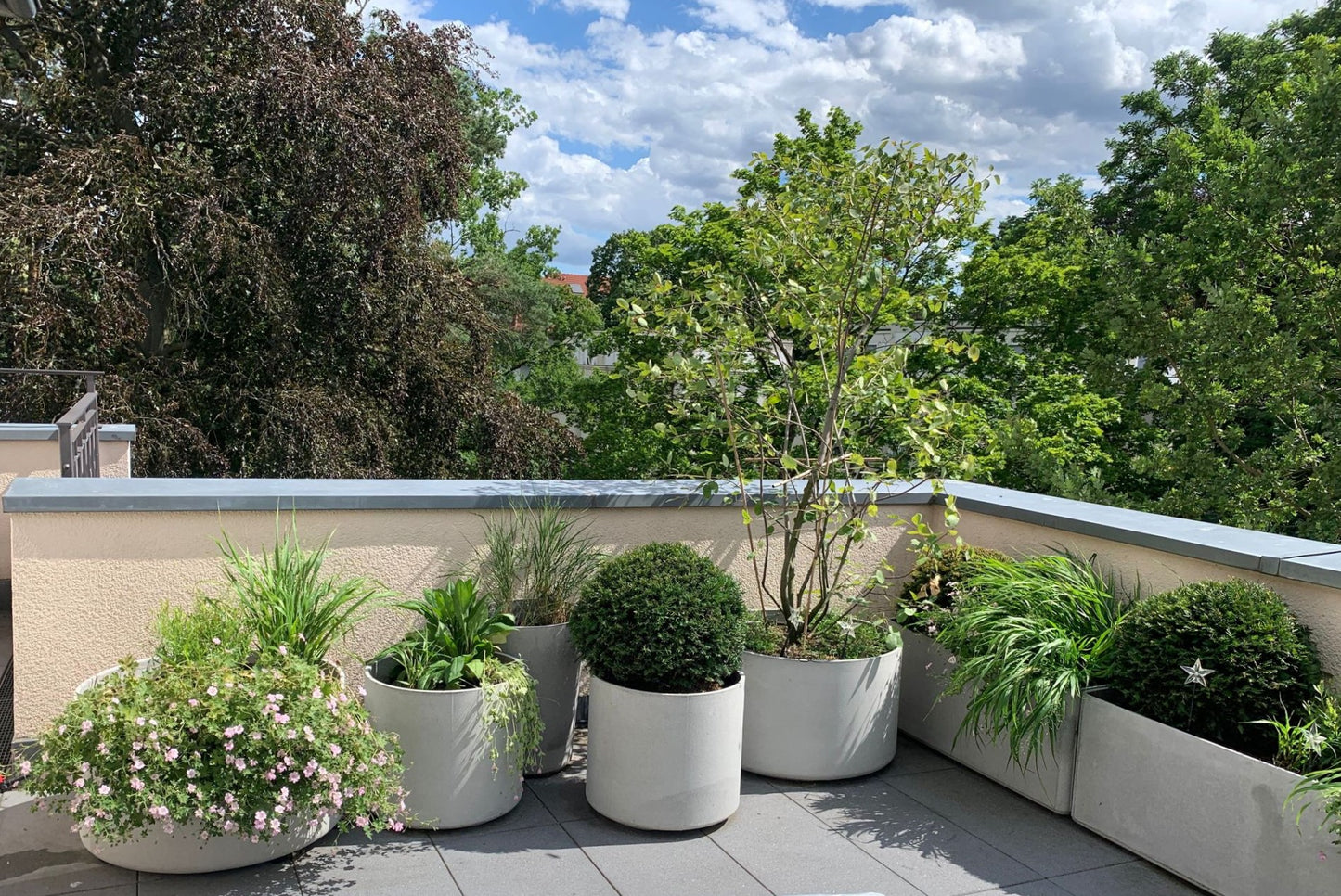Gestalten Sie eine atemberaubende Dachterrassenbepflanzung mit den Tipps aus dem Buch der Königlichen Gartenakademie "Di. 10.03.2026 | 10.00-13.00 HALBTAGESKURS Dachterrassen und Balkonbepflanzung" auf Ihrer sonnigen Terrasse mit beigen Wänden und grauen Fliesen, mit Blick auf üppig grüne Bäume.