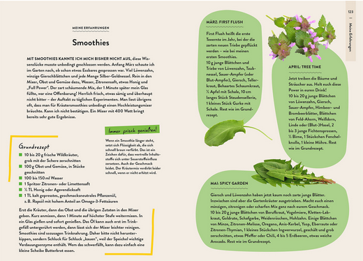 Eine Kochbuchseite mit dem Titel Smoothies enthält Zutatenlisten, grüne Rezeptboxen, Kräuterabbildungen und Tipps. Die rechte Seite stellt den "Gartenratgeber Wildkrautampel | Vom gelassenen Umgang mit Wildwuchs im Garten" aus dem Kosmos Verlag mit Pflanzenzeichnungen vor.
