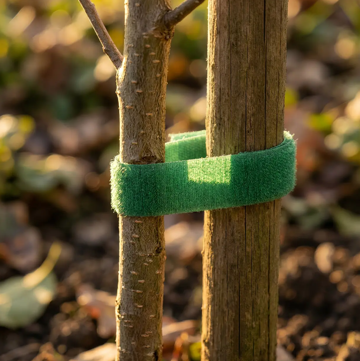 Ein junger Baum wird von einem Holzpfahl gestützt, der mit Königliche Gartenakademie Pflanzenklettband | 5 m grün gesichert ist, in einem sonnenbeschienenen Garten mit Erde und verschwommenem Laub im Hintergrund.