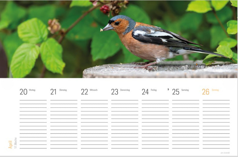 Ein kleiner Vogel mit braunen, weißen und schwarzen Federn sitzt auf einer Holzfläche, im Hintergrund sind grüne Blätter und Beeren zu sehen. Darunter ist der „Grätz Verlag Tischkalender | Vogel 2027 mit Fotografien, Zitaten & Kunst“ als Wochenplaner für den Zeitraum vom 20. bis 26. April abgebildet.