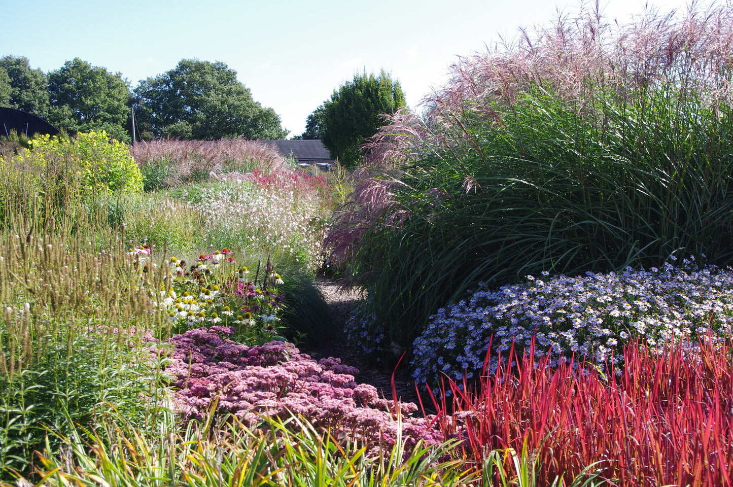 Ein üppiger Gartenweg, gesäumt von leuchtenden Gräsern und Blumen, erinnert an die Gartenpracht von Kent und Sussex - erleben Sie diese Schönheit beim AFTERNOON-TEA-VORTRAG der Königlichen Gartenakademie am Di. 17.02.2026, 14.30-15.30.