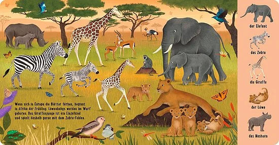 Entdecke Elefanten, Löwen, Zebras und mehr in "Mein 100 Tiere-Wimmelbuch" aus dem Esslinger Verlag! Dieses bunte Buch mit deutschen Tiernamen ist perfekt für Kinder ab 24 Monaten, um spielerisch die Tiere der Savanne zu entdecken.