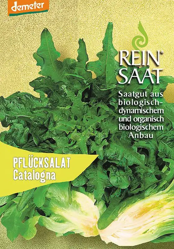Päckchen mit Reinsaat | Pflücksalat 'Catalogna' Samen von Reinsaat. Mit grünem Salatbild, deutschem Text, der biologische, biodynamische Salatsamen hervorhebt, und "PFLÜCKSALAT Catalognia" in einem gelben Banner auf der Vorderseite.