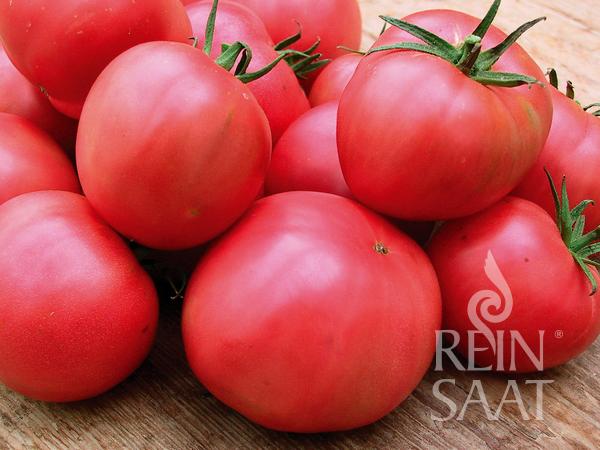 Mehrere große, reife Reinsaat | Tomate 'Berner Rose' mit grünen Stielen sind auf einer Holzfläche gestapelt. In der unteren rechten Ecke ist das Reinsaat-Logo zu sehen.