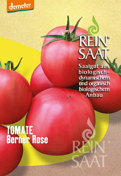 Vier große, rosarote Tomaten erscheinen auf der Reinsaat | Tomate 'Berner Rose' Saatgutpackung mit deutschem Text, gelb-beigem Design und Reinsaat- und Demeter-Logos - ideal für alle, die hochwertige Tomatensamen suchen.