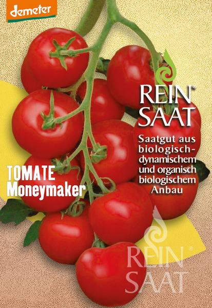 Eine Traube reifer roter Tomaten am Rebstock ziert die Saatgutpackung ReinSaat | Tomate 'Moneymaker' von Reinsaat, die als früh reifende, robuste Sorte für den biologischen und biodynamischen Anbau beschrieben wird.