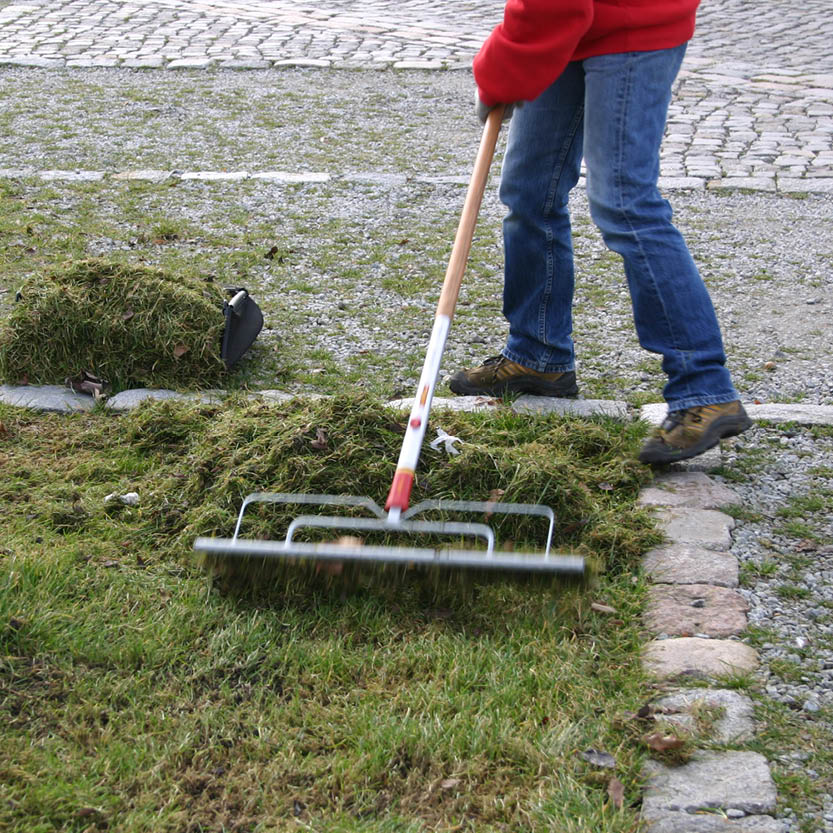 Eine Person in roter Jacke und Jeans sammelt mit einem Metallrechen Grasschnitt auf einem Rasen ein. Di., 2.3.2027 | 15.00 – 16.30 Uhr RUNDGANG Was im März im Garten zu tun ist.
