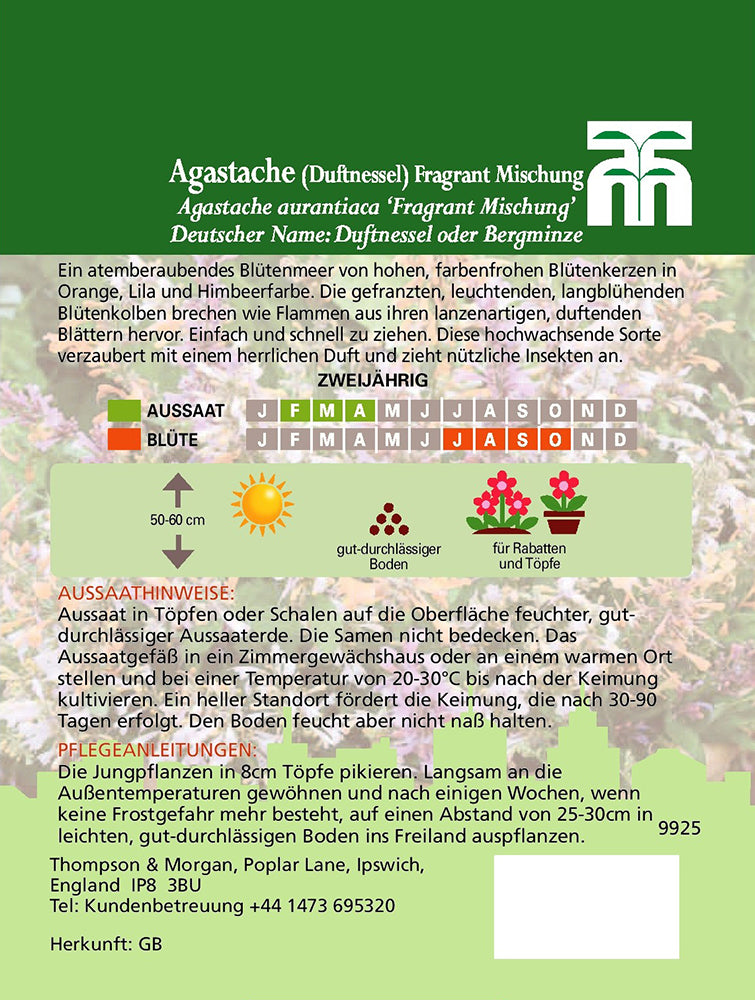Saatguttüte für Agastache (Duftnesse) Fragrant Mischung von Thompson und Morgan mit Pflanz- und Blütezeiten, Pflegetipps, Zeitstrahl auf Deutsch, Symbolen für Bestäuber und Kontaktdaten. Betont hochwachsende Sorte, duftende Blätter, auffällige Blüten.