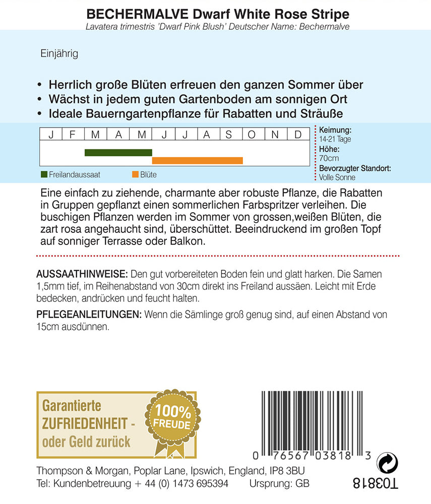 Bechermalve Dwarf Pink Blush - Königliche Gartenakademie