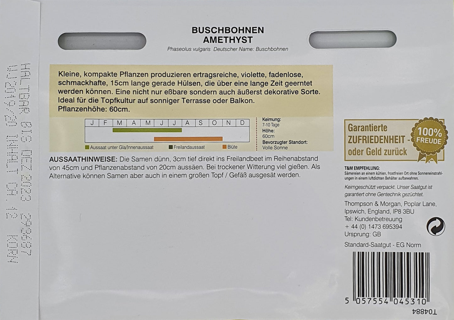 Buschbohnen Amethyst - Königliche Gartenakademie