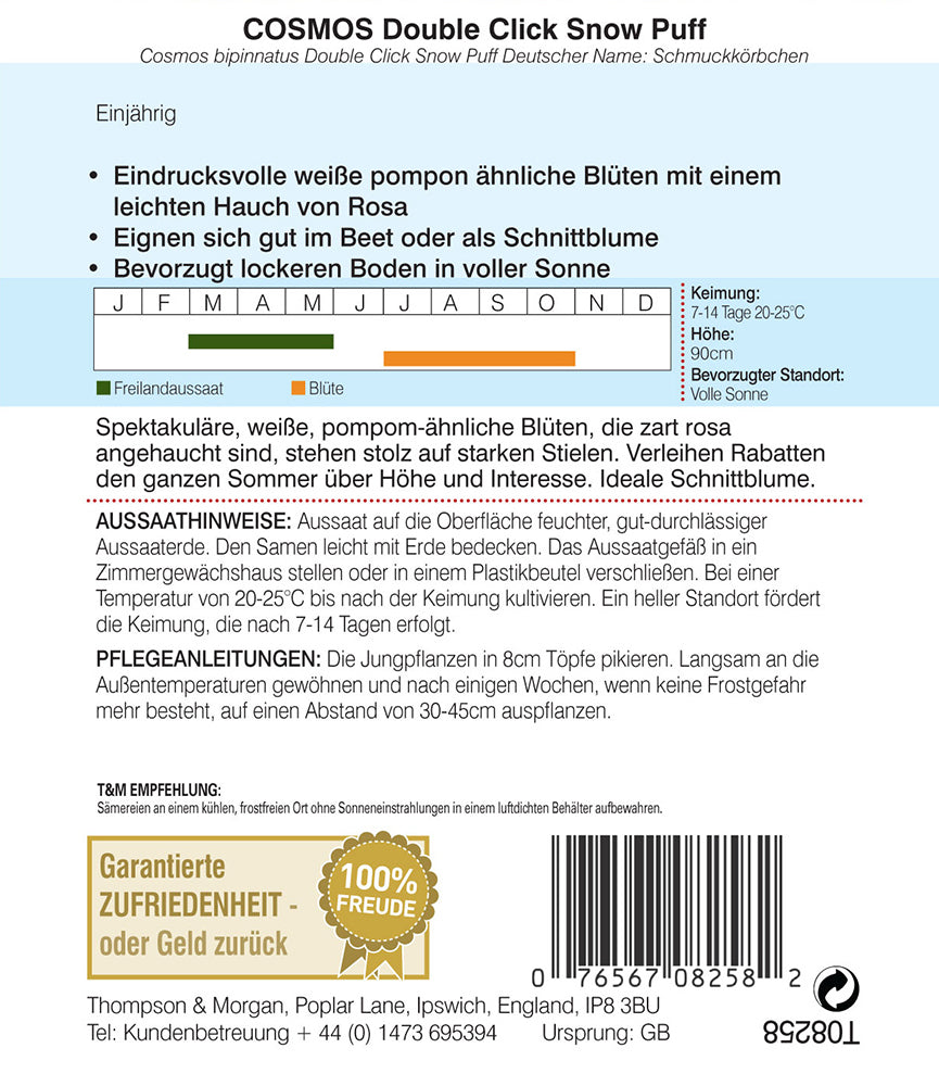 Cosmos (Schmuckkörbchen) Double Click Snow Puff - Königliche Gartenakademie