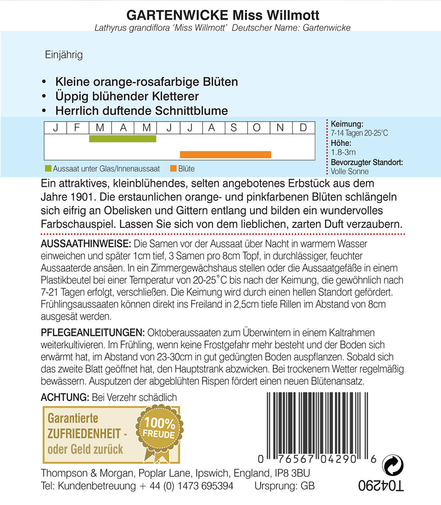Gartenwicke Miss Willmott - Königliche Gartenakademie
