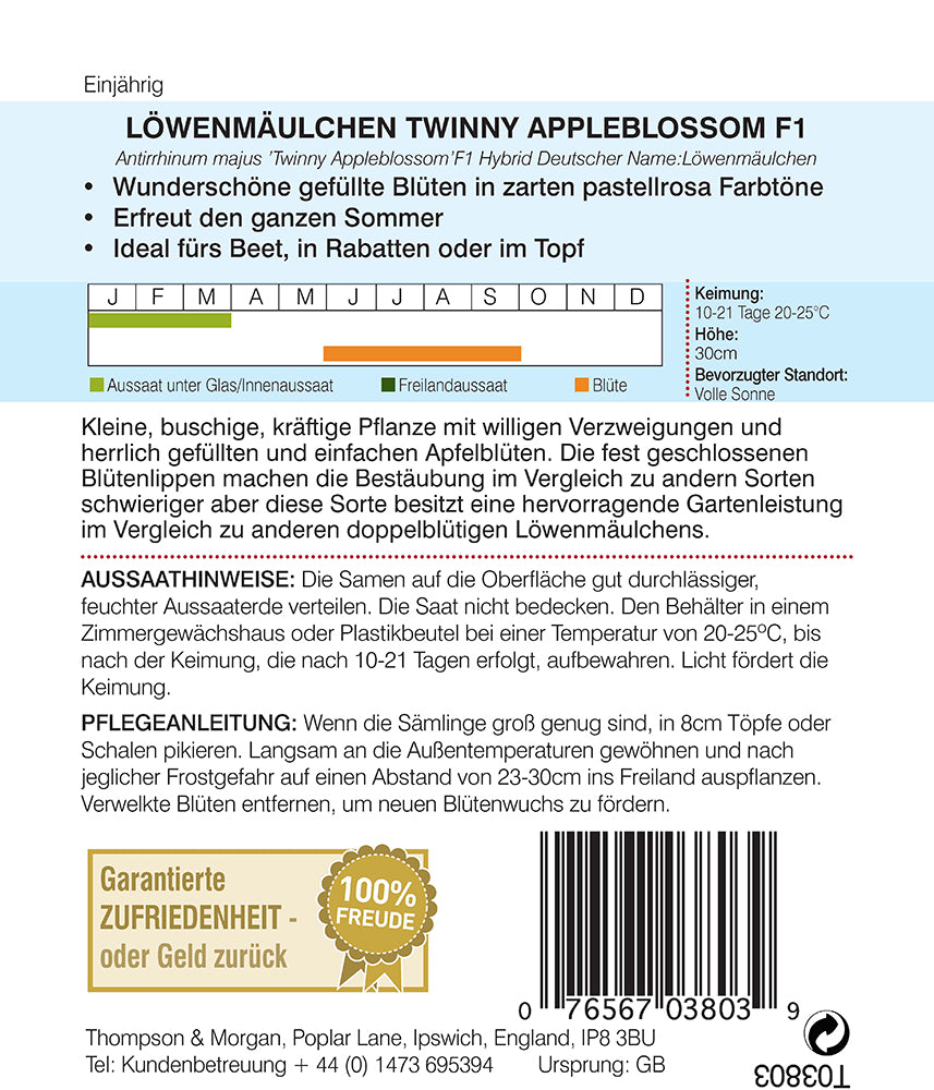 Löwenmaul Twinny Appleblossom F1 Hybride - Königliche Gartenakademie