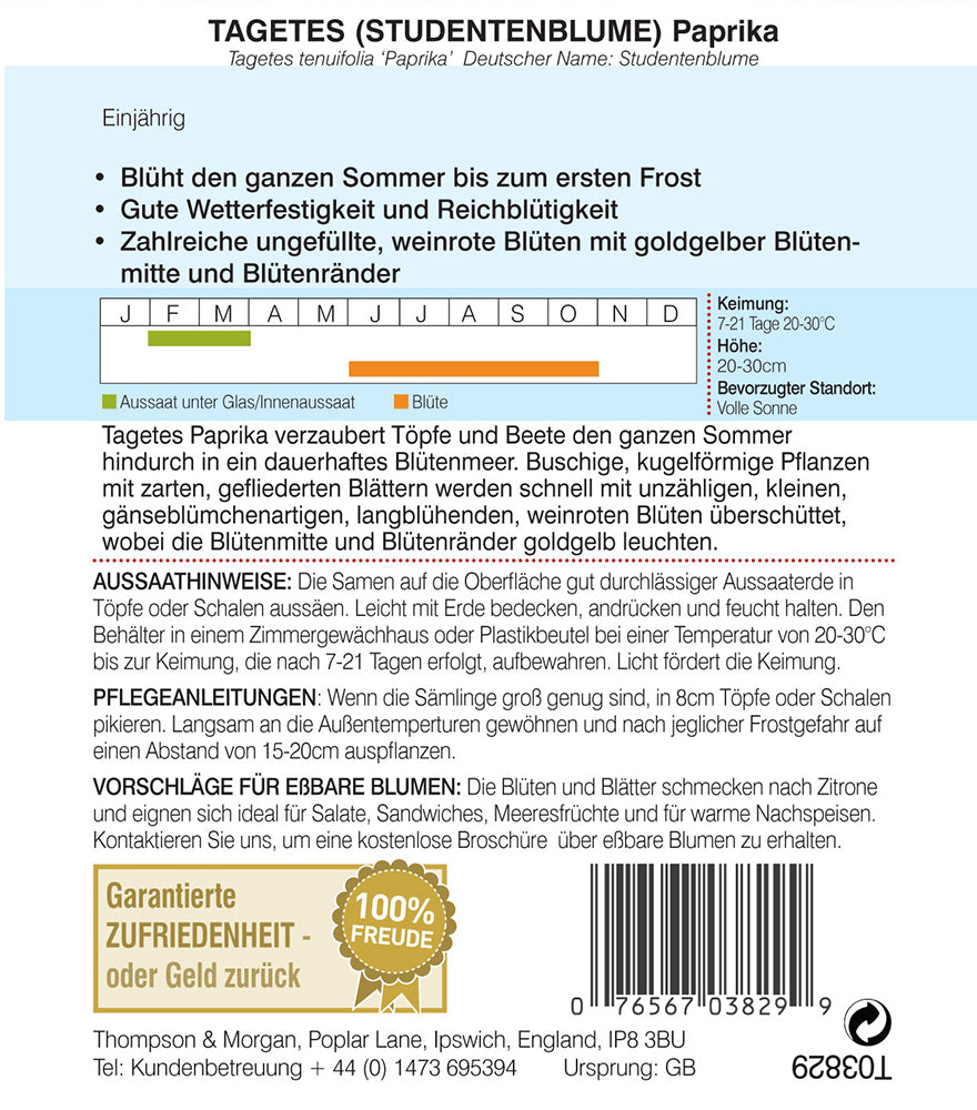 Tagetes (Studentenblume) Paprika - Königliche Gartenakademie