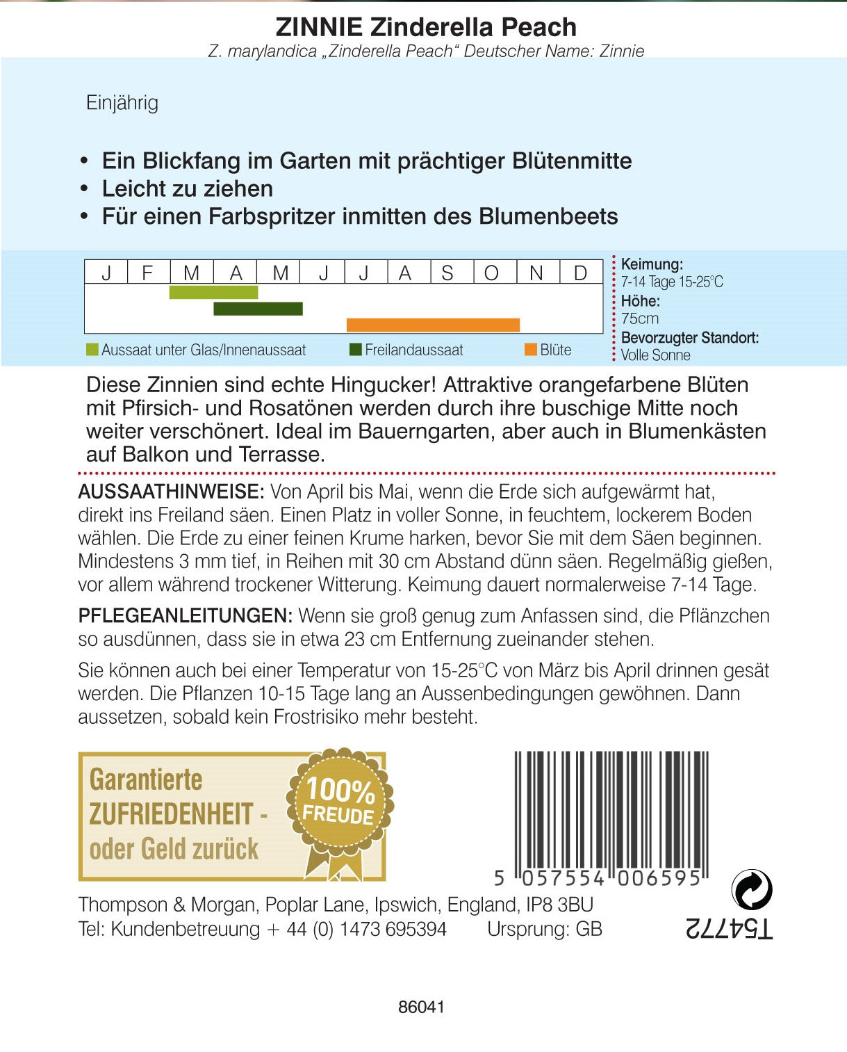 Zinnie Zinderella Peach - Königliche Gartenakademie