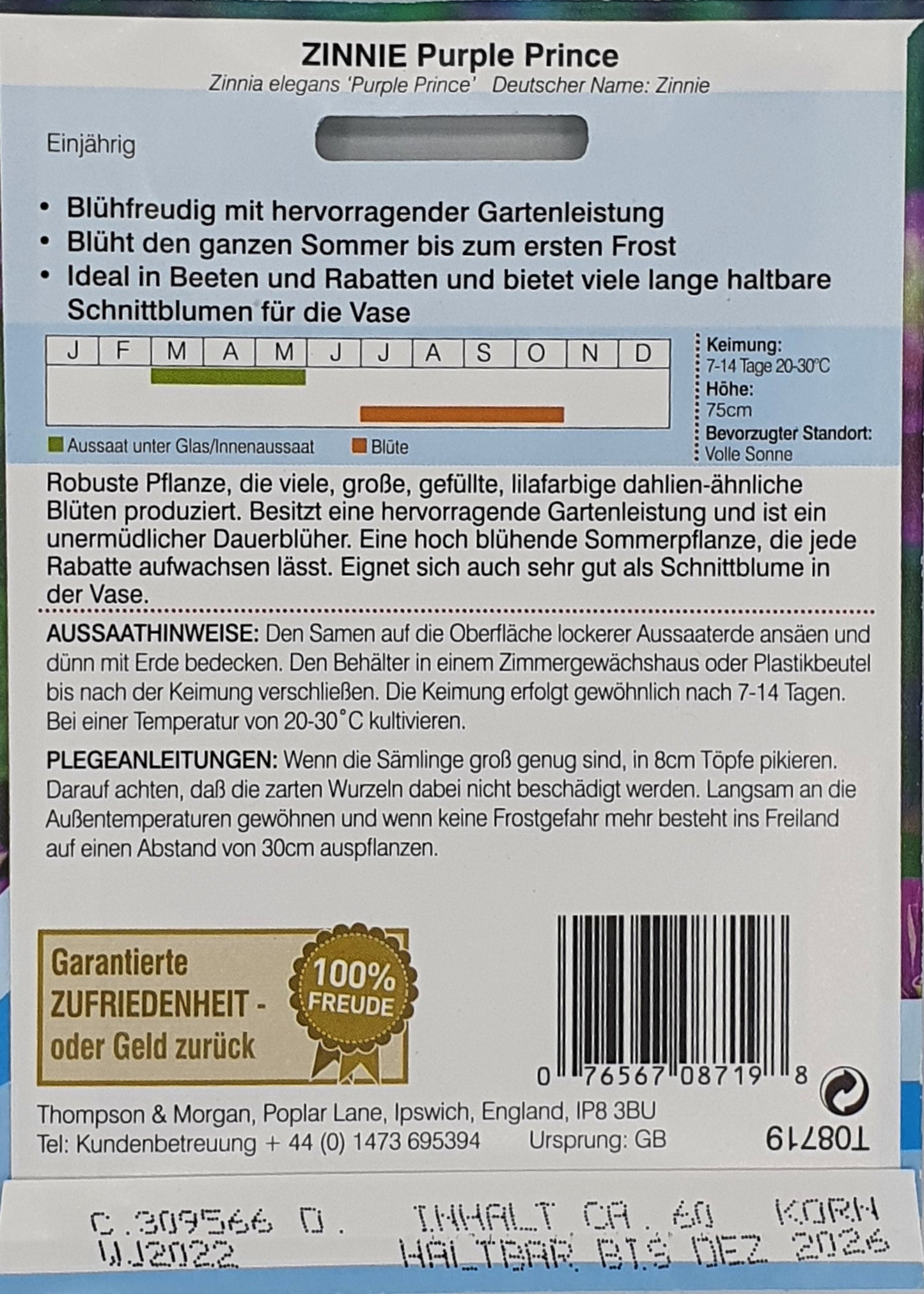 Zinnie Purple Prince - Königliche Gartenakademie