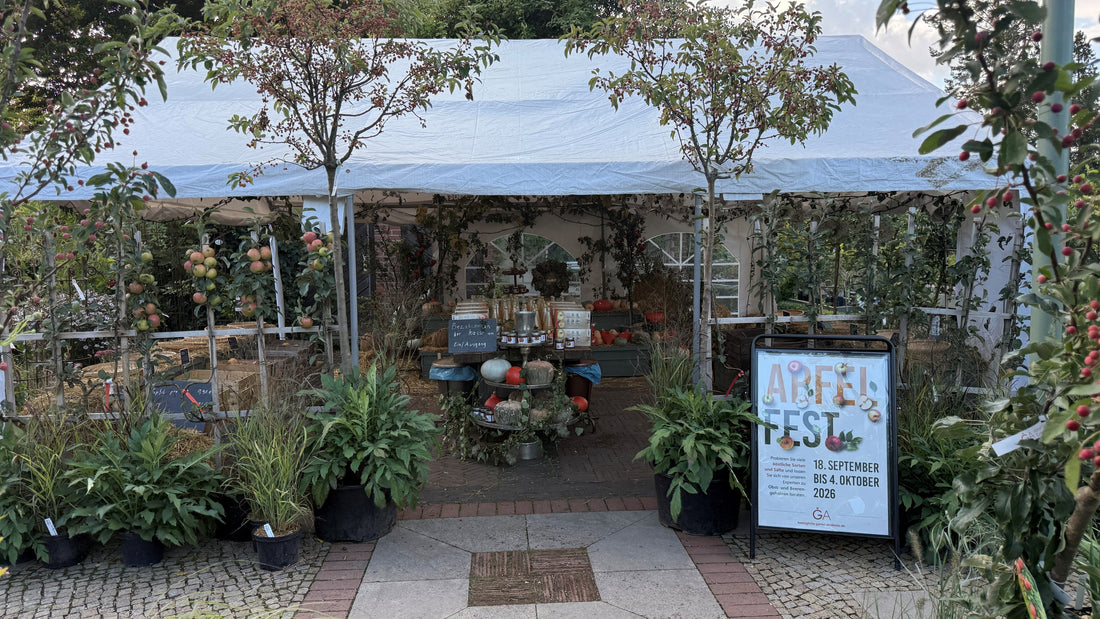 Empfehlenswerte Apfelsorten für den Garten