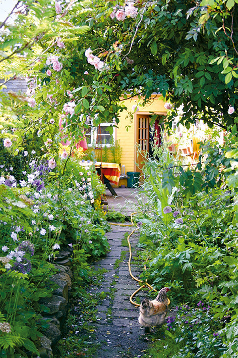 Mein wunderbarer Cottage-Garten