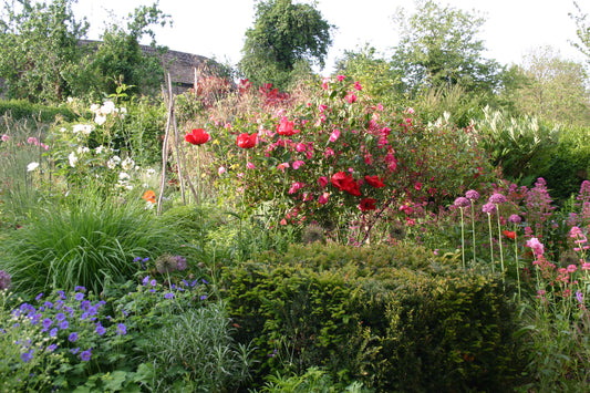 Der Cottage Garten