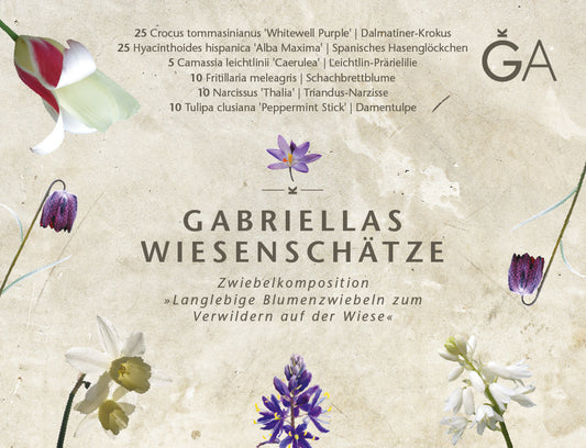 Eine Blütenpracht aus dem Garten meiner Kindheit