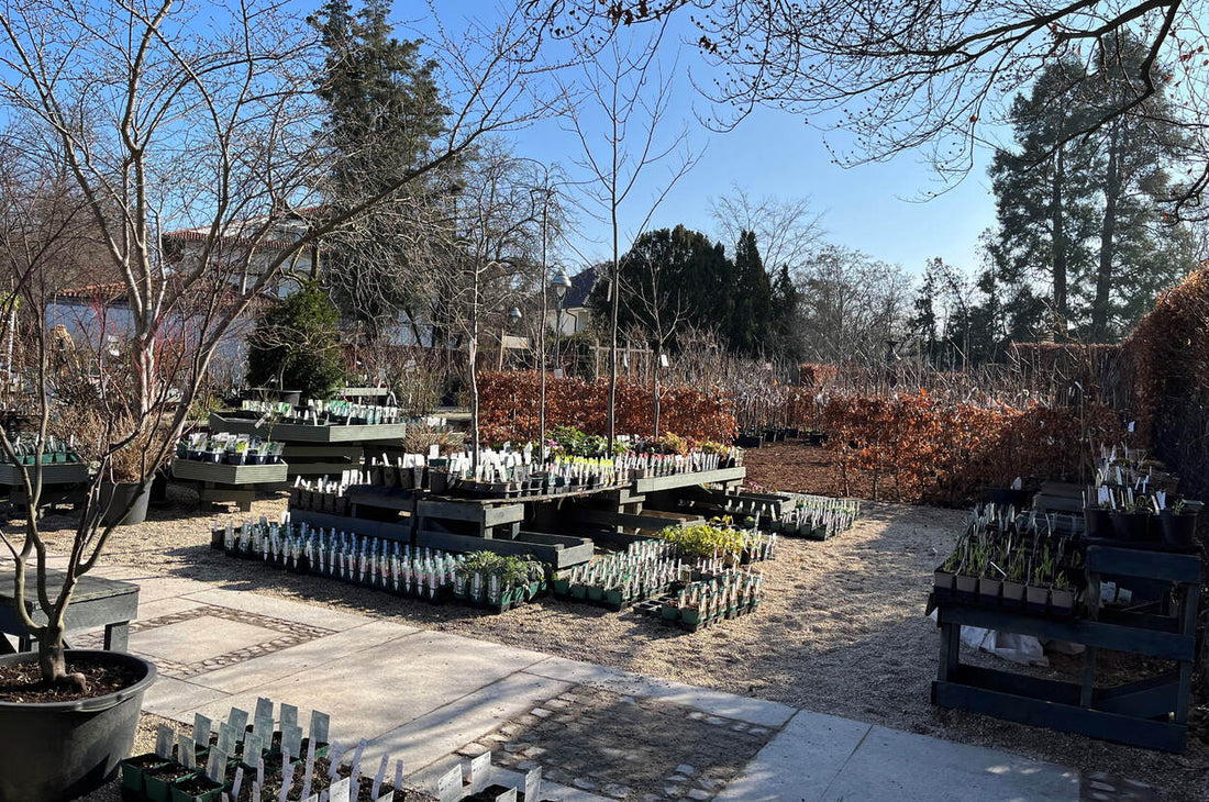 Veränderungen in der Gartenakademie