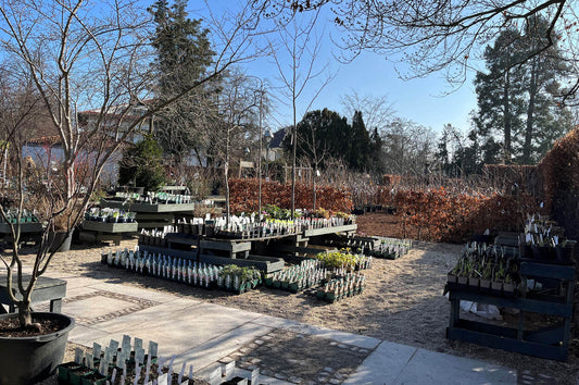 Veränderungen in der Gartenakademie